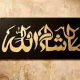 WhatsApp Image 2026-03-19 at 8.45.20 PM (1)